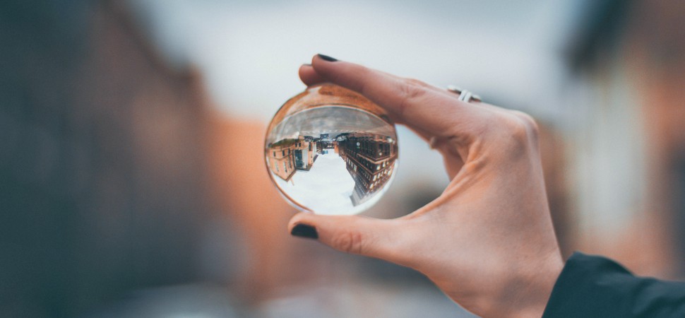 Dono zamagni economia